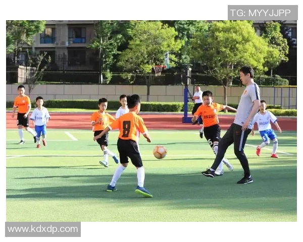 足球场小球星标识图解说解析青少年足球发展与训练核心要素